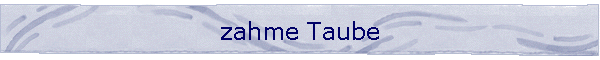 zahme Taube